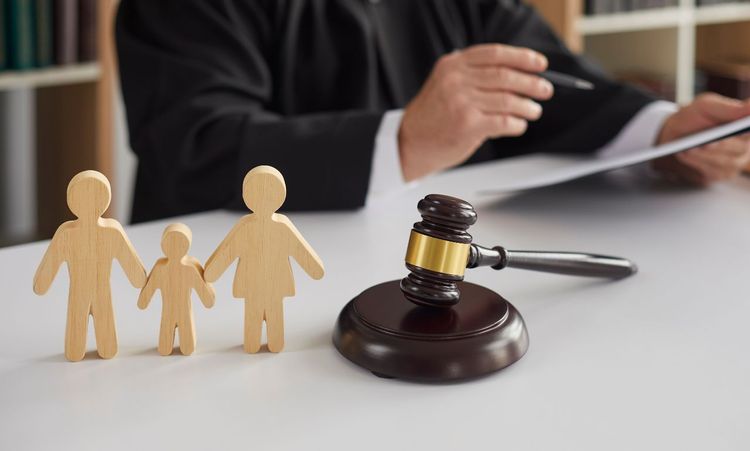 How Often Are Custody Appeals Won?